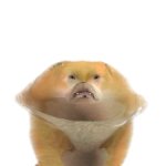 headshot_large.jpg