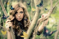 butterfly_by_poisonuki-d4a0vim.jpg