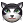 gattofilo.png