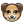 cinofilo.png