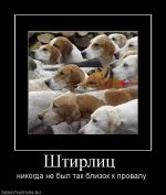 Demotivatory_pro_sobak_4_26155033.jpg