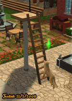 MTS_Kodiak-766193-CanineLadderClimb.gif
