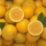 Lemon Juice