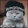 Ильдарка