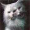 Whiskas