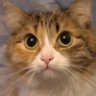 кофий