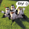 Навигашка