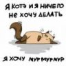 Альтаир