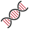 DnA
