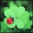 Clover
