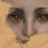Talula
