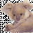 koalla