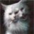 Whiskas